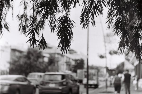 First roll of 120 film!